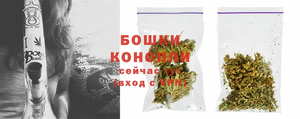 PSILOCYBIN Нея