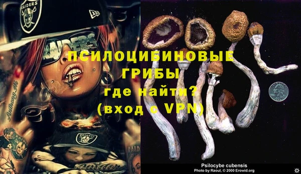 PSILOCYBIN Нея
