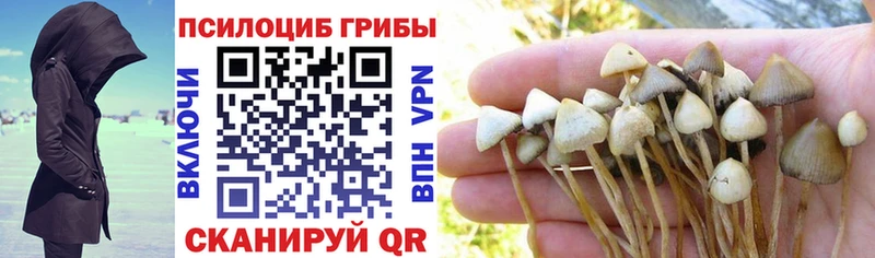 Псилоцибиновые грибы мицелий  купить  цена  Тетюши 